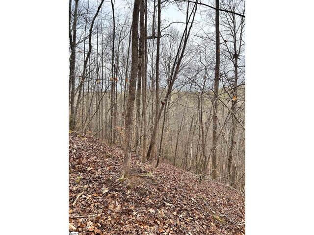 Photo of 00 Little Crowe Creek Road