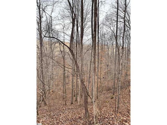 Photo of 00 Little Crowe Creek Road