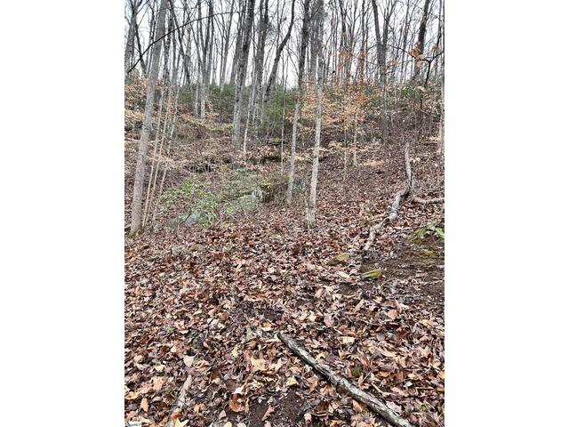 Photo of 00 Little Crowe Creek Road