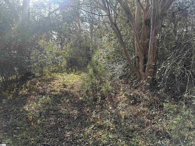 Photo of 1948 FEWS CHAPEL Road