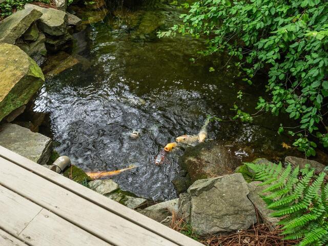 Photo of 110 Huckleberry Ridge