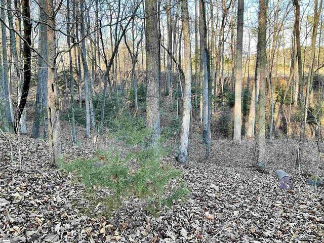 Photo of 110 Laurel Valley Way