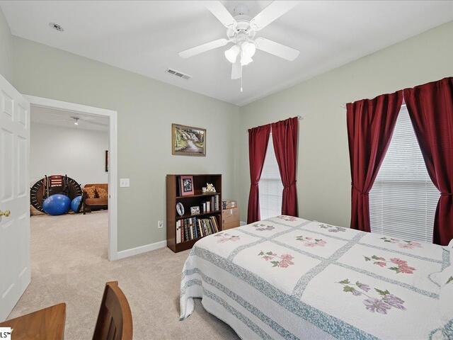 Photo of 228 Goldenstar Lane