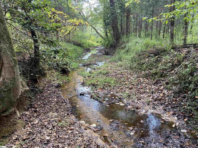 Photo of 00 Old Spartanburg Highway