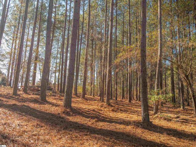 Photo of 03 Mill Pine Road