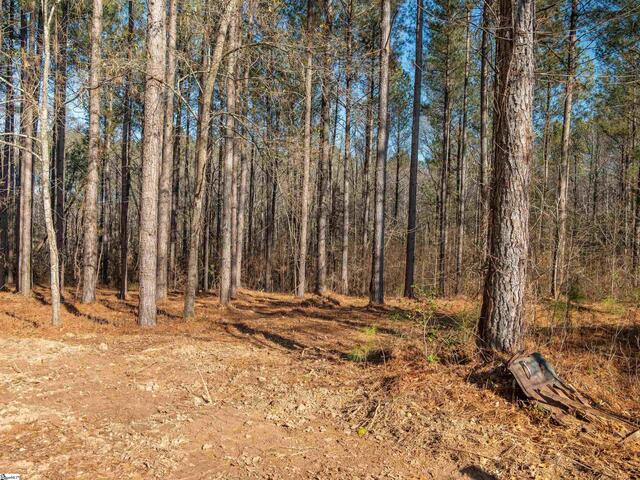 Photo of 03 Mill Pine Road