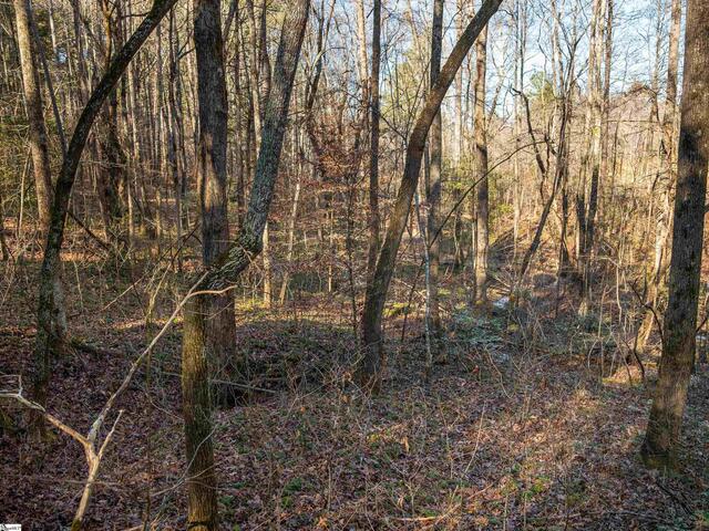 Photo of 03 Mill Pine Road