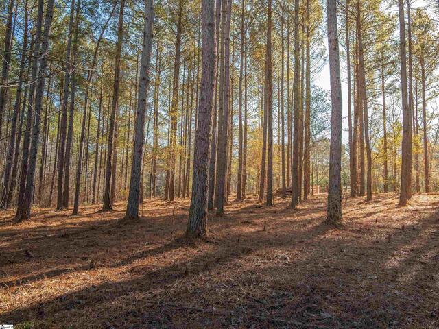 Photo of 03 Mill Pine Road