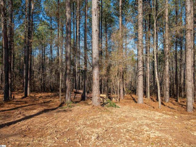Photo of 03 Mill Pine Road