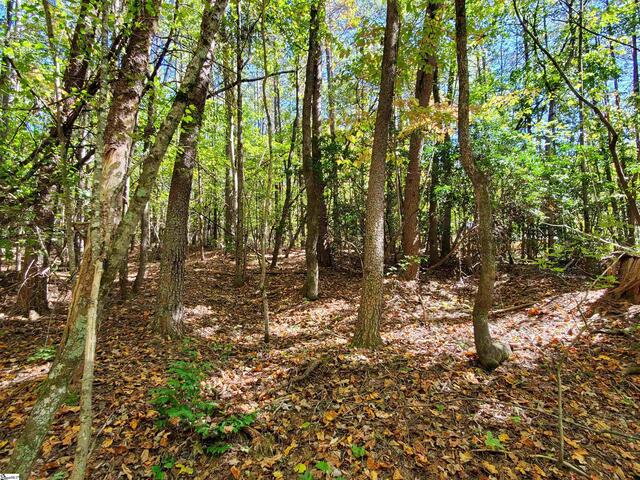 Photo of 16 Belk Road