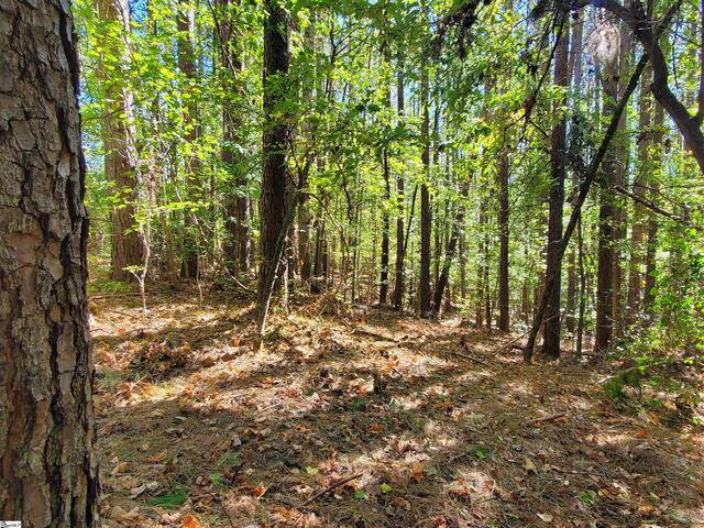 Photo of 16 Belk Road