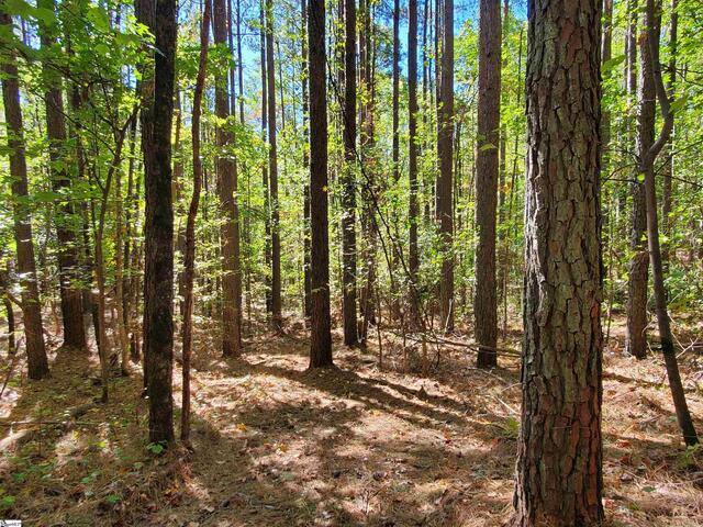 Photo of 16 Belk Road