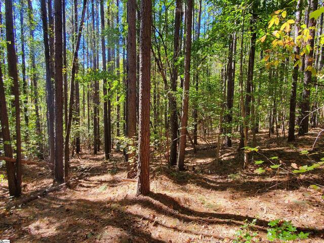 Photo of 16 Belk Road