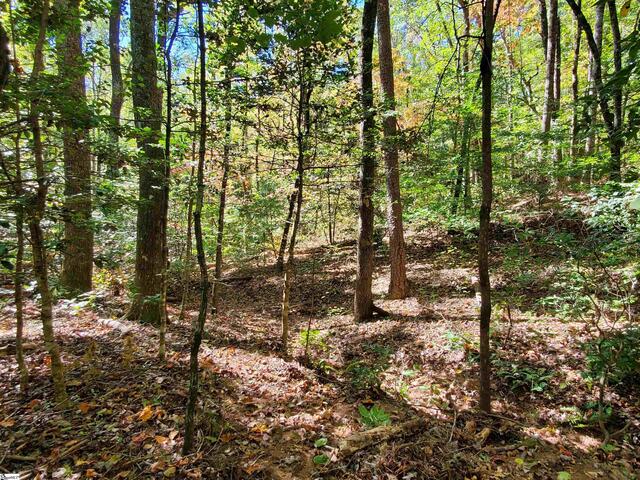 Photo of 16 Belk Road