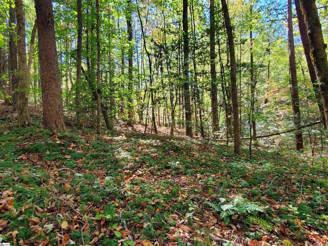 Photo of 16 Belk Road