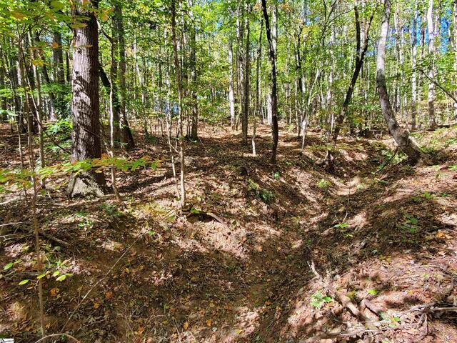 Photo of 16 Belk Road