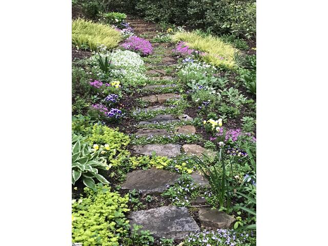 Photo of 104 Laurel Oak Trail