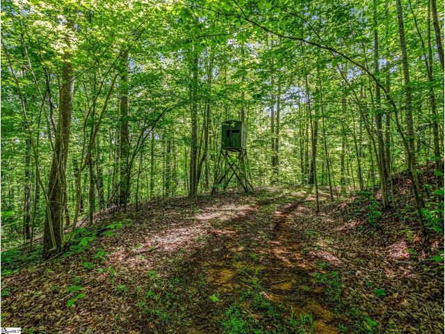 Photo of 980 Mountain Forest Drive