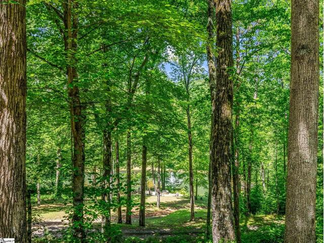 Photo of 980 Mountain Forest Drive