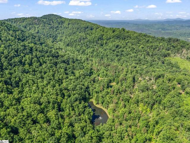 Photo of 980 Mountain Forest Drive