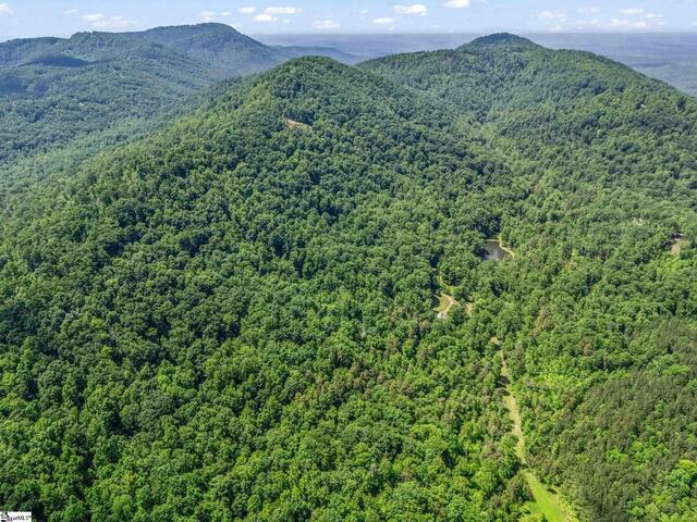 Photo of 980 Mountain Forest Drive