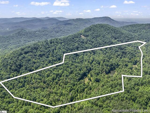 Photo of 980 Mountain Forest Drive