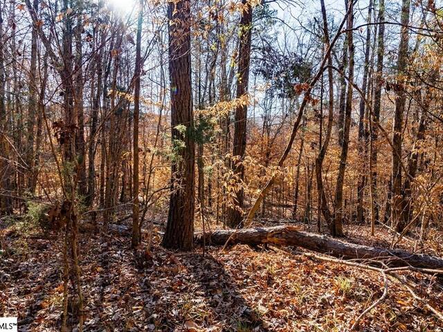Photo of 0 Dogwood Lane