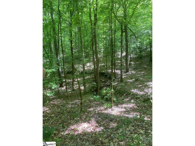 Photo of 0 Dogwood Lane