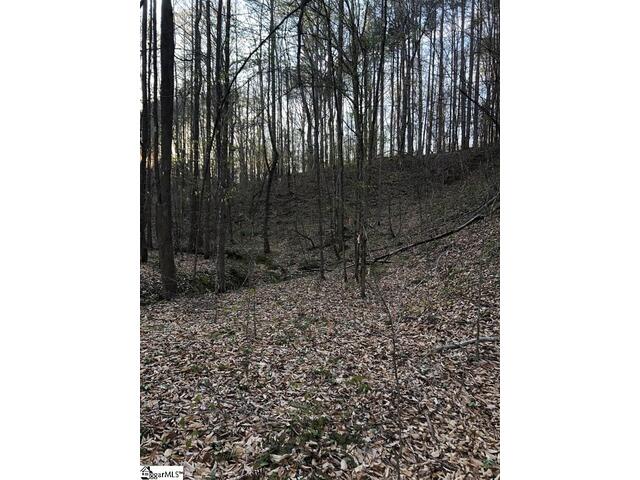 Photo of 0 Dogwood Lane