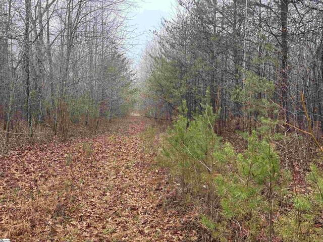 Photo of 4024 Hwy 414 - Acreage not house