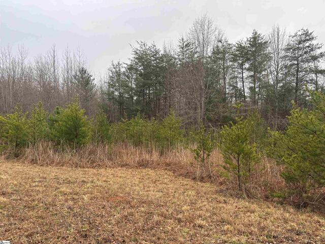 Photo of 4024 Hwy 414 - Acreage not house