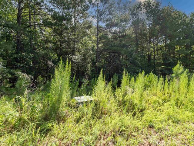 Photo of 00 Hobby House Way