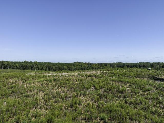 Photo of 00 Cowens Bridge Road