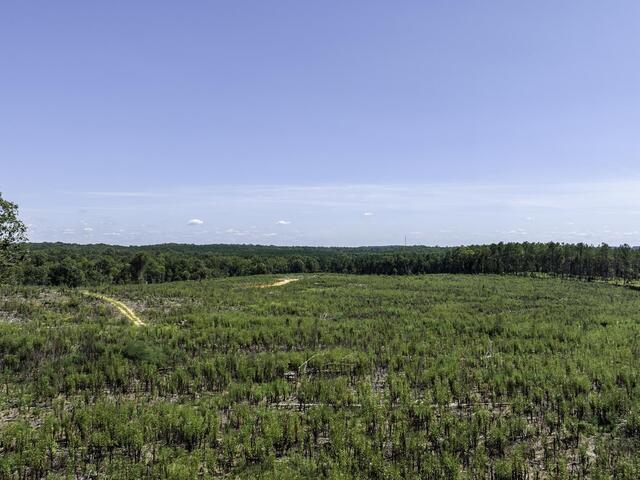 Photo of 00 Cowens Bridge Road