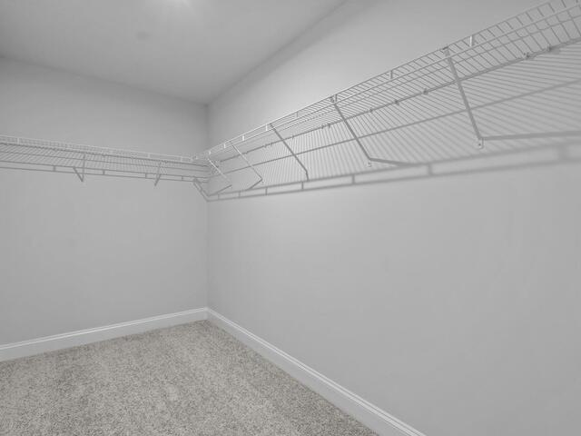 Photo of 1119 Tyger Branch Drive