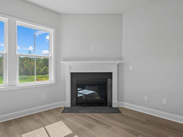 Photo of 1119 Tyger Branch Drive