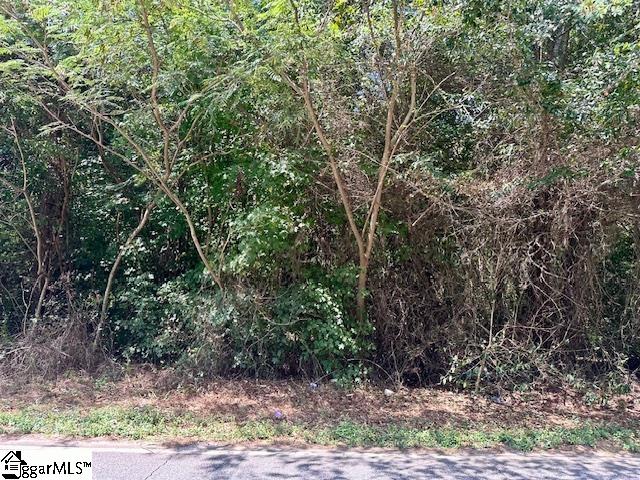 Photo of 00 Cowpens Clifton Road