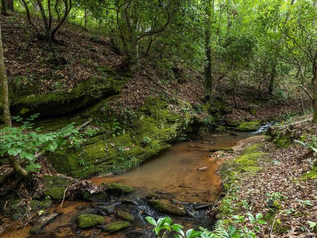 Photo of TBD Colony Lane