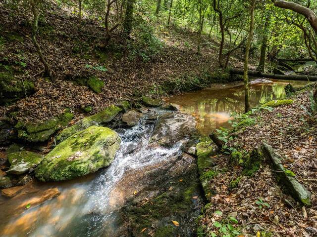 Photo of TBD Colony Lane