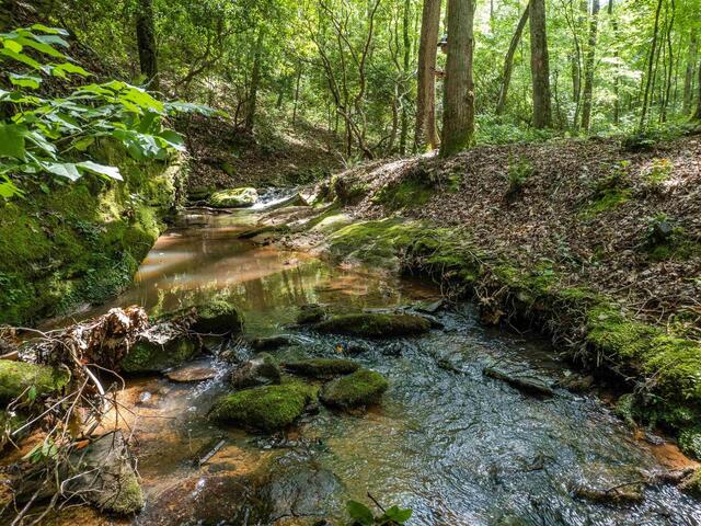 Photo of TBD Colony Lane