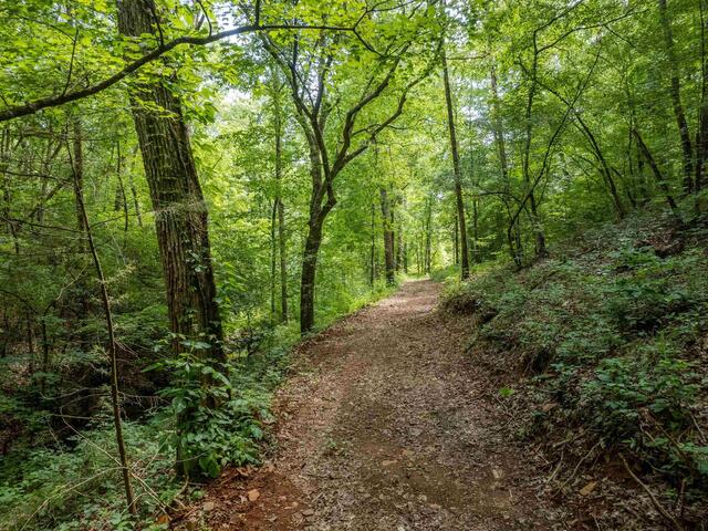 Photo of TBD Colony Lane