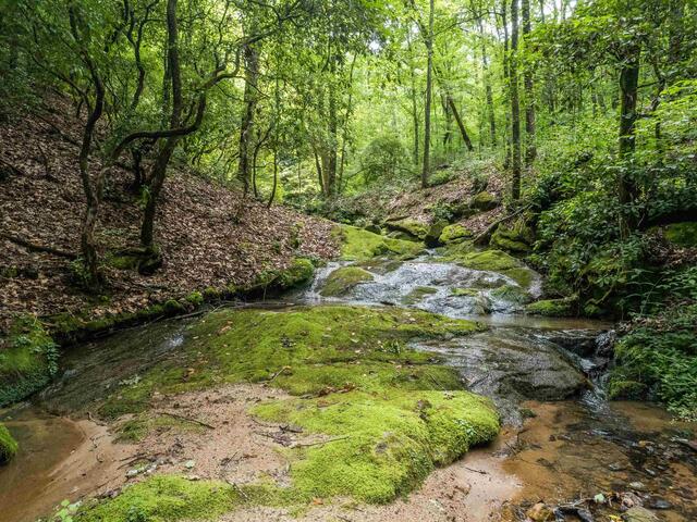 Photo of TBD Colony Lane