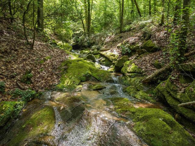 Photo of TBD Colony Lane