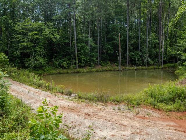 Photo of TBD Colony Lane