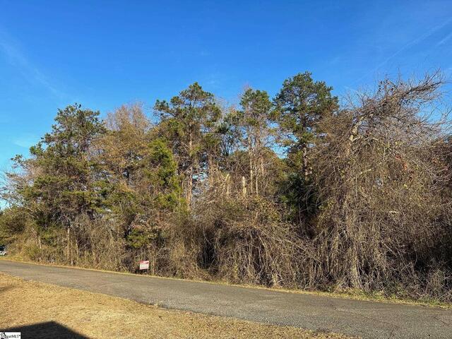 Photo of 0 Blue Bird Hill Drive