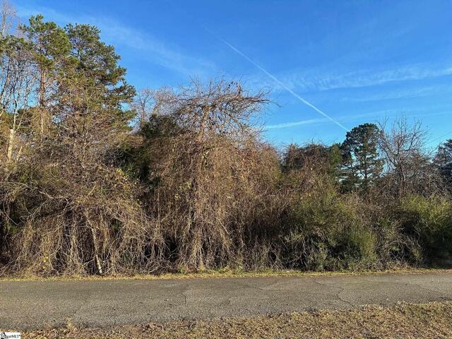 Photo of 0 Blue Bird Hill Drive