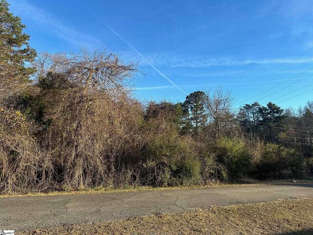 Photo of 0 Blue Bird Hill Drive