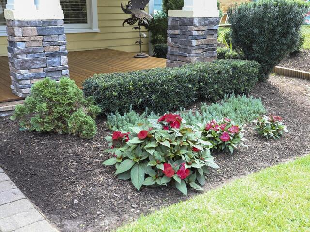 Photo of 30 Rowley Street