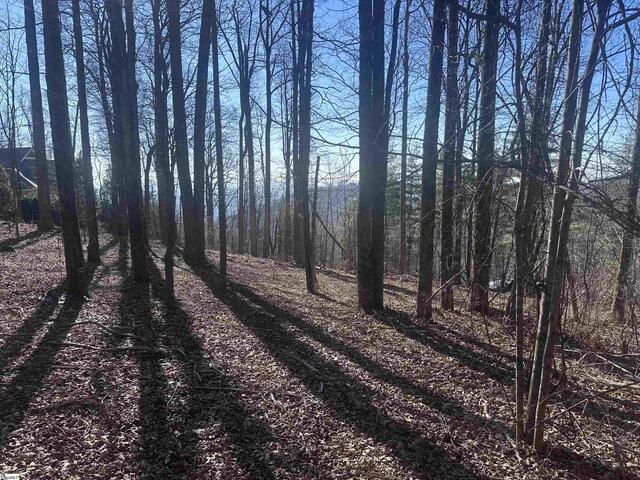 Photo of 44 Wild Ginger Road