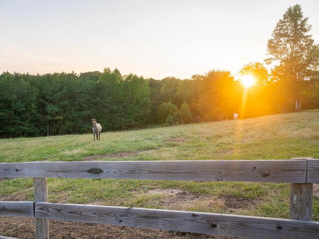 Photo of 822 & 920 Preservation Trail